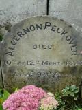 image of grave number 240607